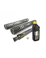01-034-5890-0 Molle progressive per forcella per BMW R12 G/S (2025-)