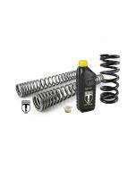 01-621-8000-0 BLACK-T progressive replacement springs for Ducati SCRAMBLER Desert Sled 2017 - 2020