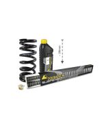 01-082-5883-0 Assetto ribassato di 30mm per BMW F750GS (2018-2023), BWM F800GS (2024-) molle sostitutiva