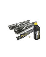 01-370-5843-0 Molle progressive per forcella, GASGAS ES 700 Enduro (2022-2024)