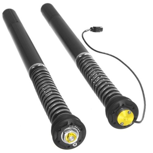 01-058-5890-0 Touratech Suspension Cartridge Plug&Travel per BMW R1250R (2018-)