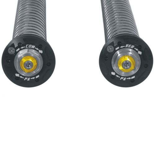 01-622-5866-0 Kit Touratech Suspension Cartridge abbassamento -25mm per Ducati DesertX dal 2021