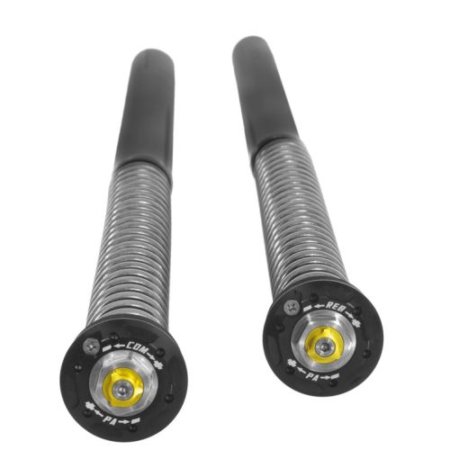 01-083-5862-0 Kit Touratech Suspension Cartridge Extreme per BMW F900GS Adventure