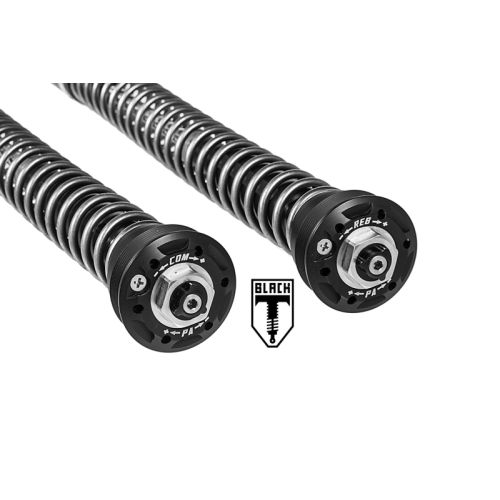 01-423-5862-0 Black-T Cartridge Kit Stage4 per Triumph Thruxton-R (2016-2018)