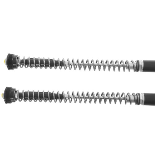 01-034-5898-0 Kit di abbassamento -30mm Kit Cartuccia e Ammortizzatore Extreme2 per BMW R12 G/S (2025-)