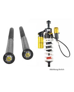 01-372-5865-0 Kit sospensioni Touratech per KTM 790 Adventure R / KTM 890 Adventure R / Spedizione Nord 901 Extreme2 + Cartuccia Extreme